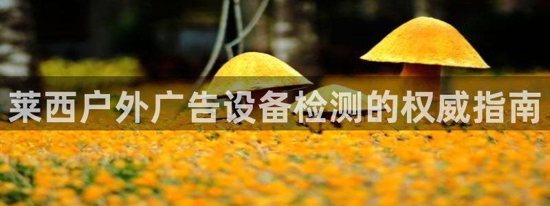 杏宇平台代理多少钱一个