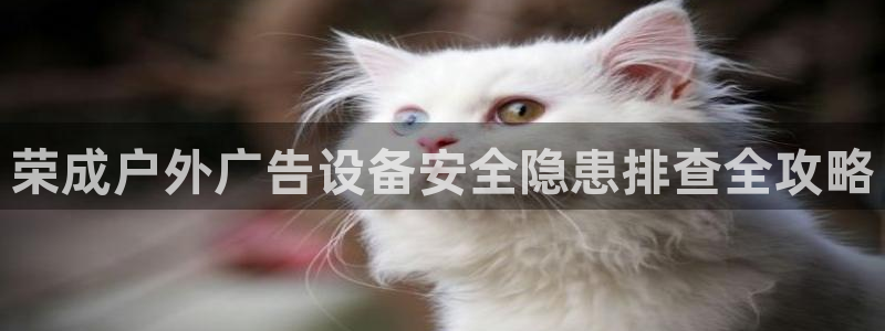 杏宇平台总代理是谁