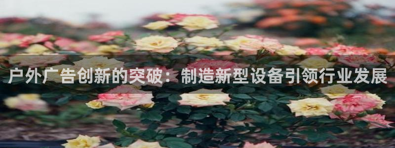 杏宇平台登陆