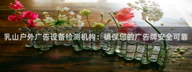 杏宇平台登录步骤图