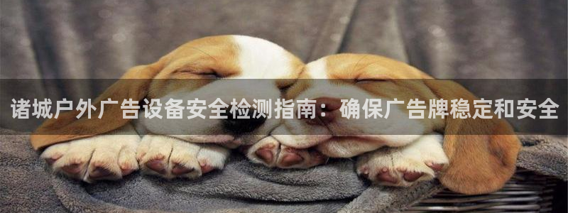 杏宇官方平台官网入口