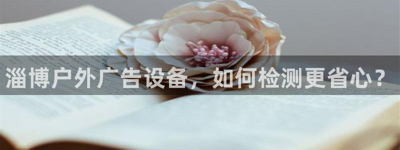 杏宇平台测速链接