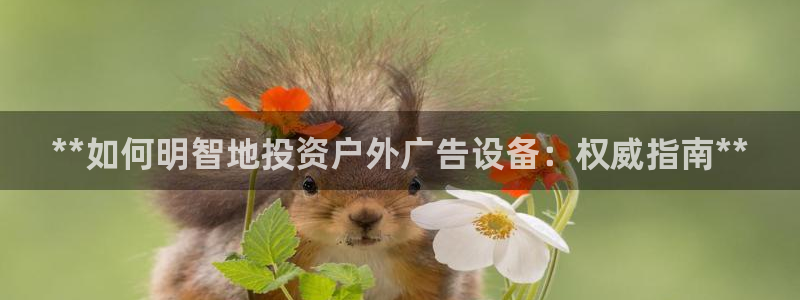 杏宇平台主管
