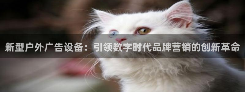 杏宇平台代理怎么样赚钱