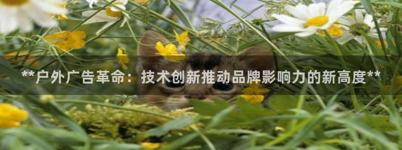杏宇官方平台官网