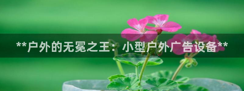 杏宇官方平台官网