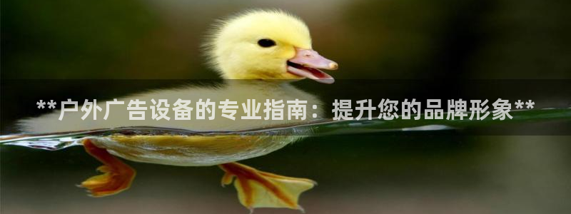 杏宇平台代理多少钱