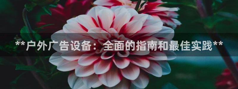 杏宇平台代理多少钱一次