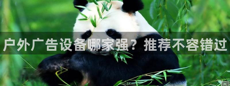 杏宇平台是什么