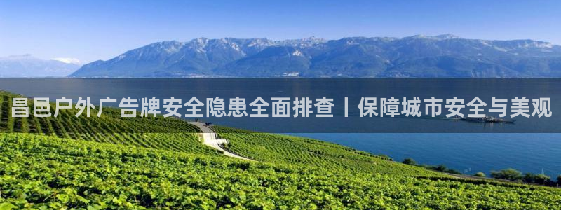 杏宇代理注册