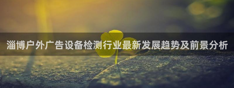 杏宇平台是什么：淄博户外广告设备检测行业