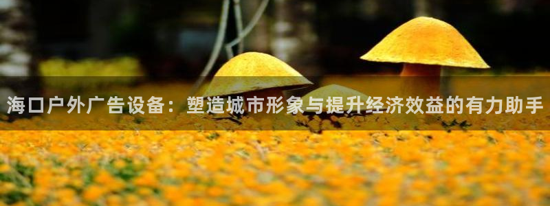 杏宇平台代理多少钱一个：海口户外广告设备