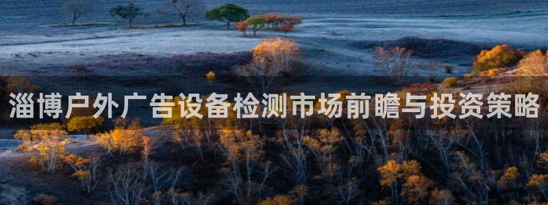 杏宇平台总代理：淄博户外广告设备检测市场