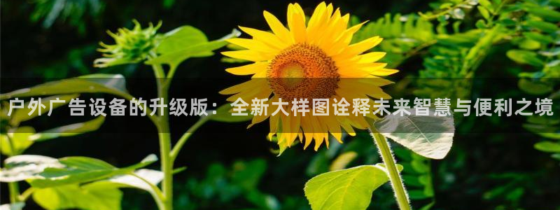 杏宇平台官网注册：户外广告设备的升级版：