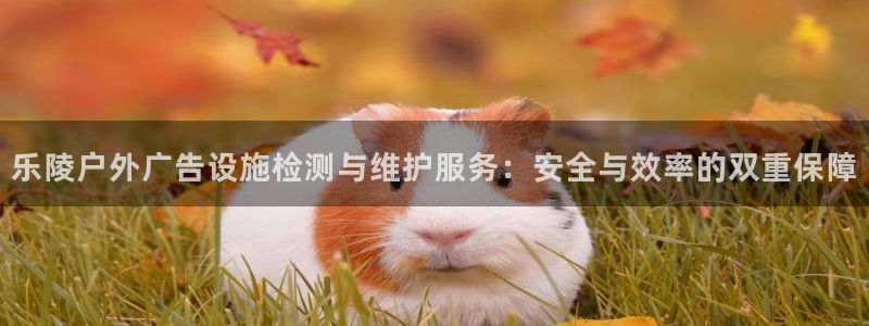 杏宇平台注册登录：乐陵户外广告设施检测与