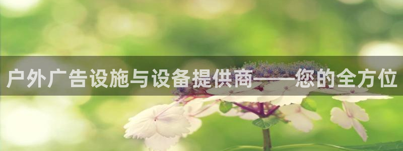 杏宇平台代理怎么赚钱