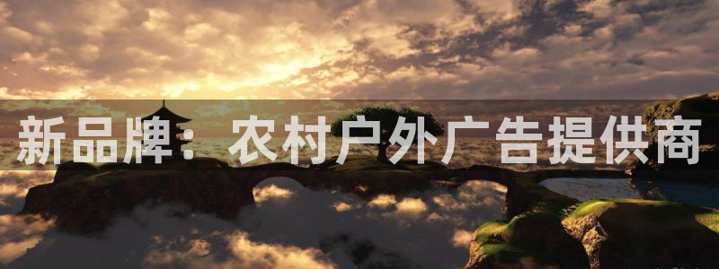 杏宇平台总代理：新品牌：农村户外广告提供