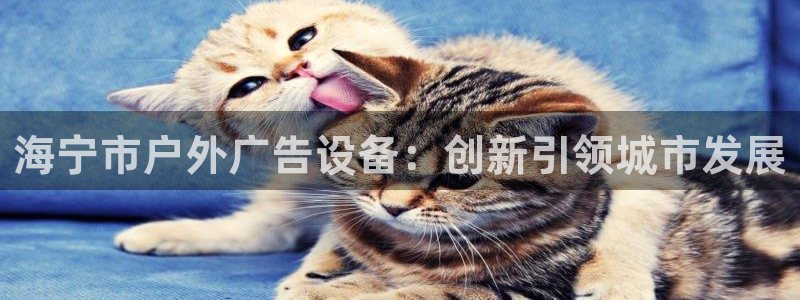 杏宇平台代理多少钱一个月