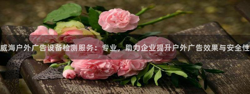 杏宇官方平台官网：威海户外广告设备检测服