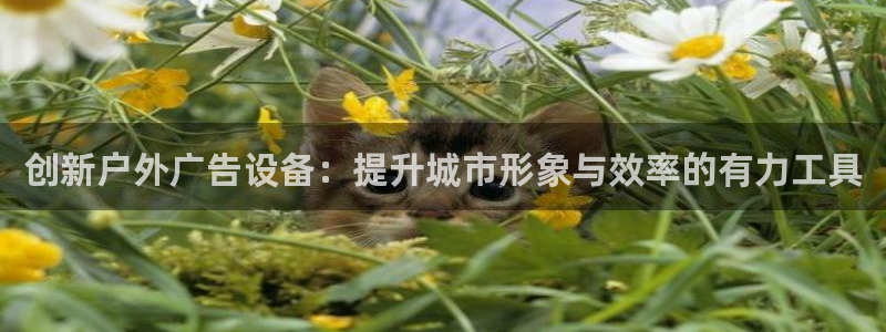 杏宇平台注册登录：创新户外广告设备：提升