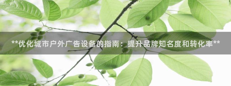 杏宇平台代理多少钱一个月：**优化城市户