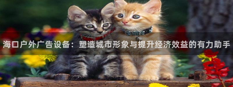 杏宇平台招商怎么样：海口户外广告设备：塑