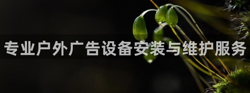 杏宇平台注册登录：专业户外广告设备安装与