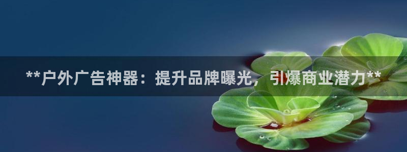 杏宇平台代理怎么样可靠吗