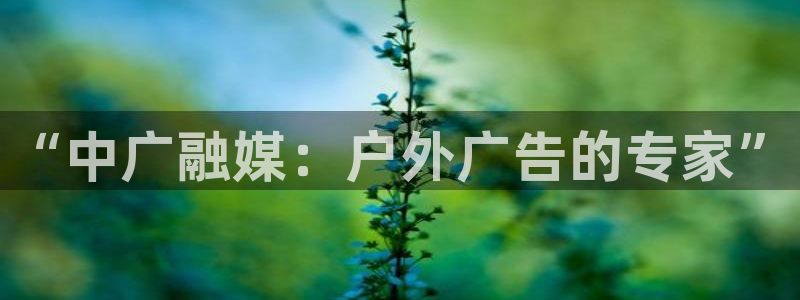 杏宇平台代理怎么样啊：“中广融媒：户外广告的专家”