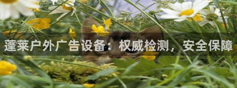 杏宇平台提现为什么这么久呢