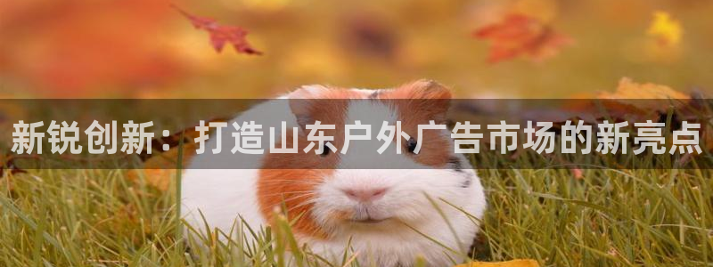 杏宇平台总代理是谁：新锐创新：打造山东户外广告市场的新亮点