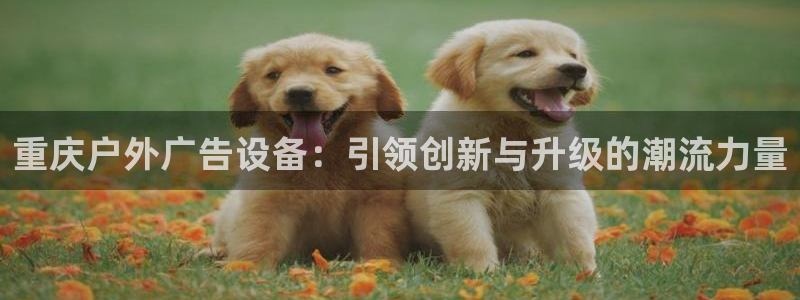 杏宇官方平台官网入口：重庆户外广告设备：