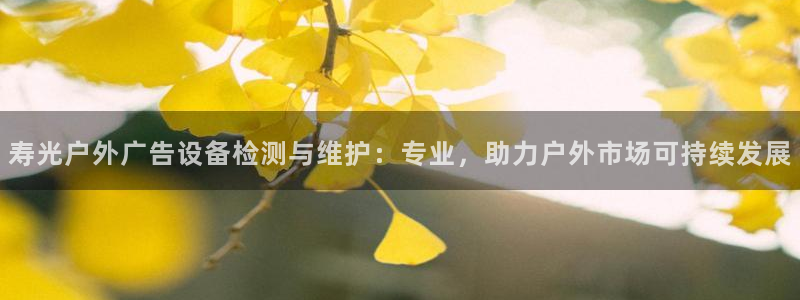 杏宇官方平台官网入口：寿光户外广告设备检测与维护：专业，助力户外市场可持续发展