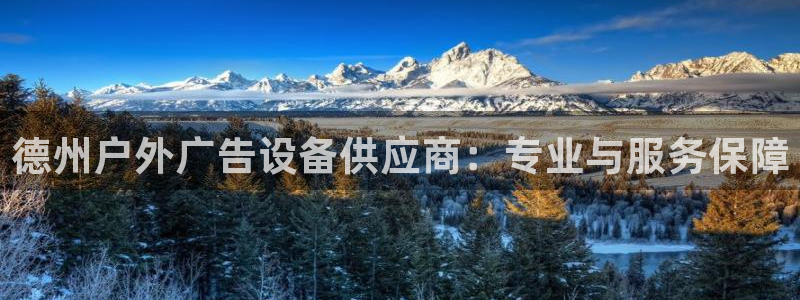 杏宇平台代理怎么赚钱：德州户外广告设备供应商：专业与服务保障