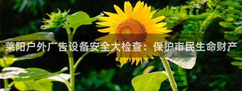 杏宇平台招商怎么样