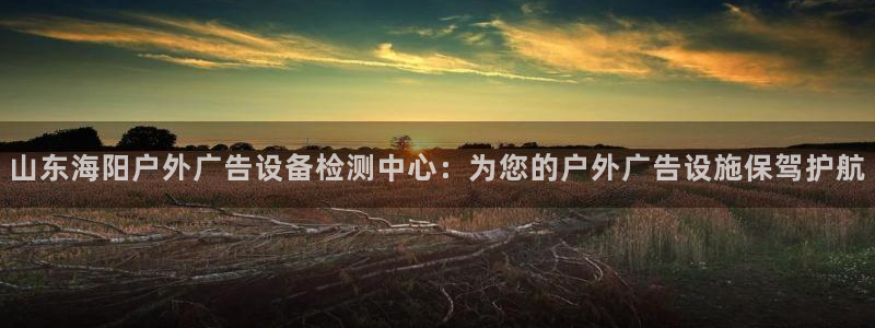 杏宇平台代理怎么赚钱：山东海阳户外广告设备检测中心：为您的户外广告设施保驾护航