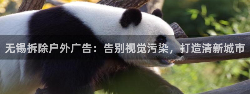 杏宇平台官网注册