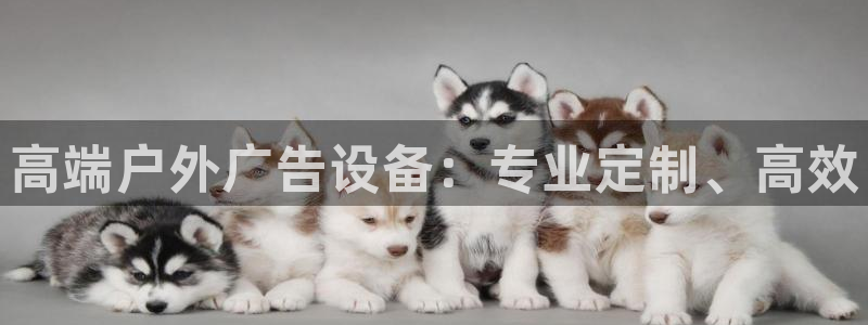杏宇平台注册登录：高端户外广告设备：专业