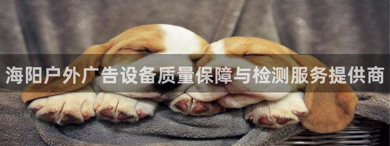 杏宇平台测速链接：海阳户外广告设备质量保障与检测服务提供商