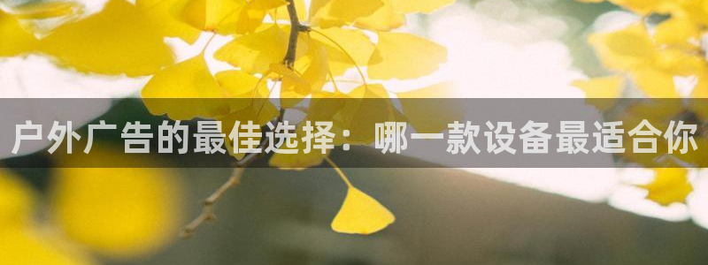 杏宇平台总代理是谁：户外广告的最佳选择：